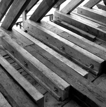 Holzschutz: Sanierung